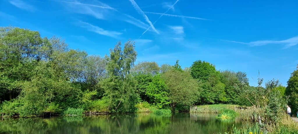 Pond