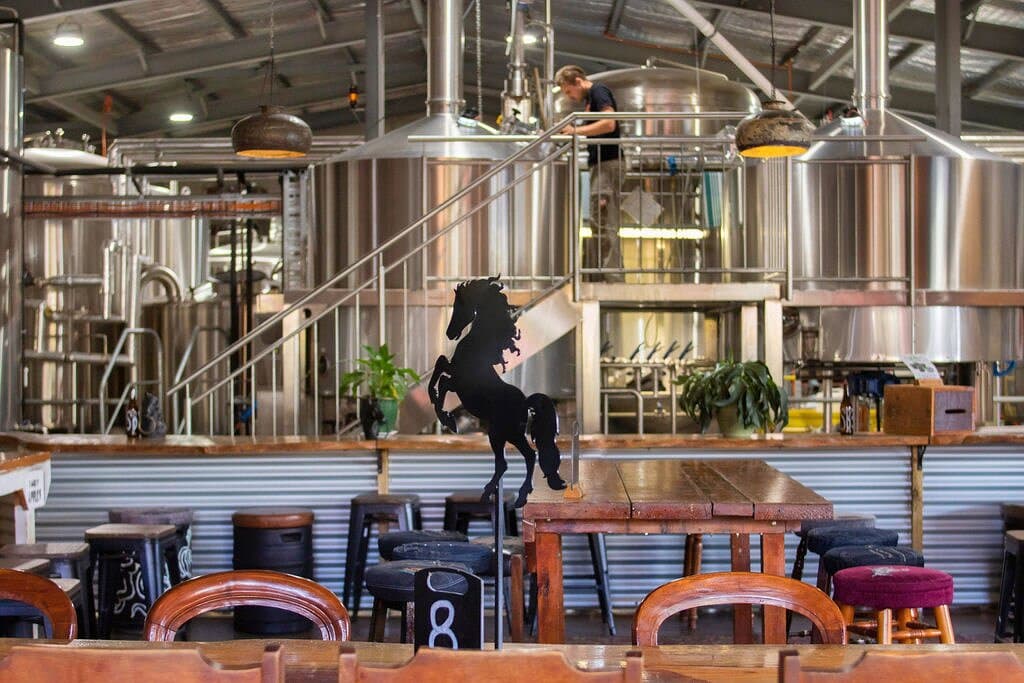 Enjoy your fresh craft beer while you watch our team of brewers at work. 
