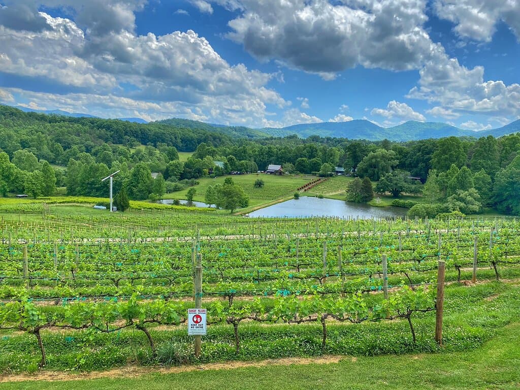 Crane Creek Vineyards