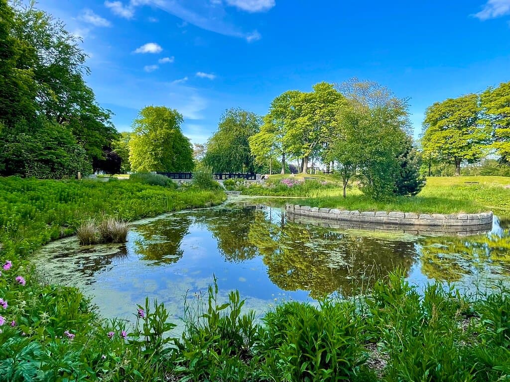 “All of a sudden I had the revelation of how enchanting my pond was.” - Claude Monet