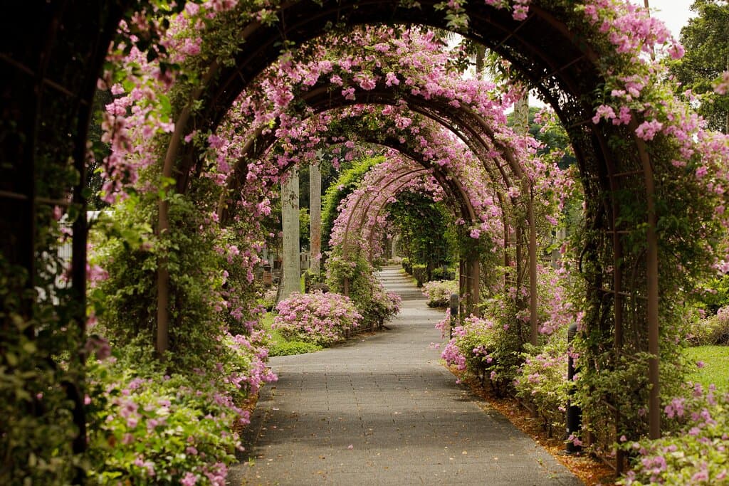 Floral arches.