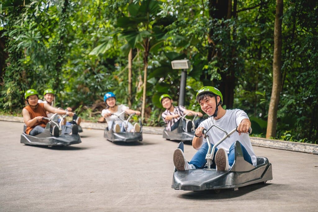 Hop in the driver seat of our unique 3-wheeled Luge carts and let gravity do the rest.