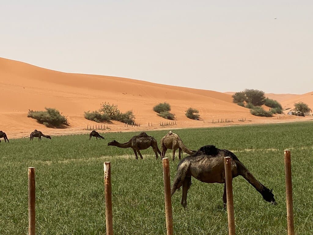 في موسم الامطار