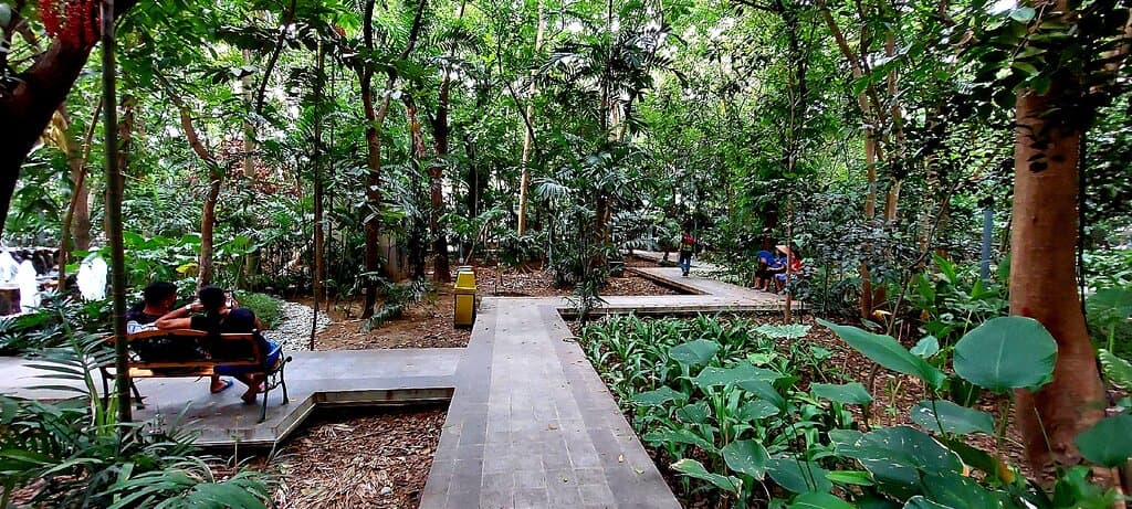 Arroceros Forest Park Manila