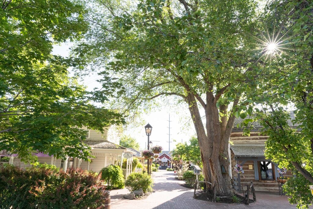 Gardner Village 
