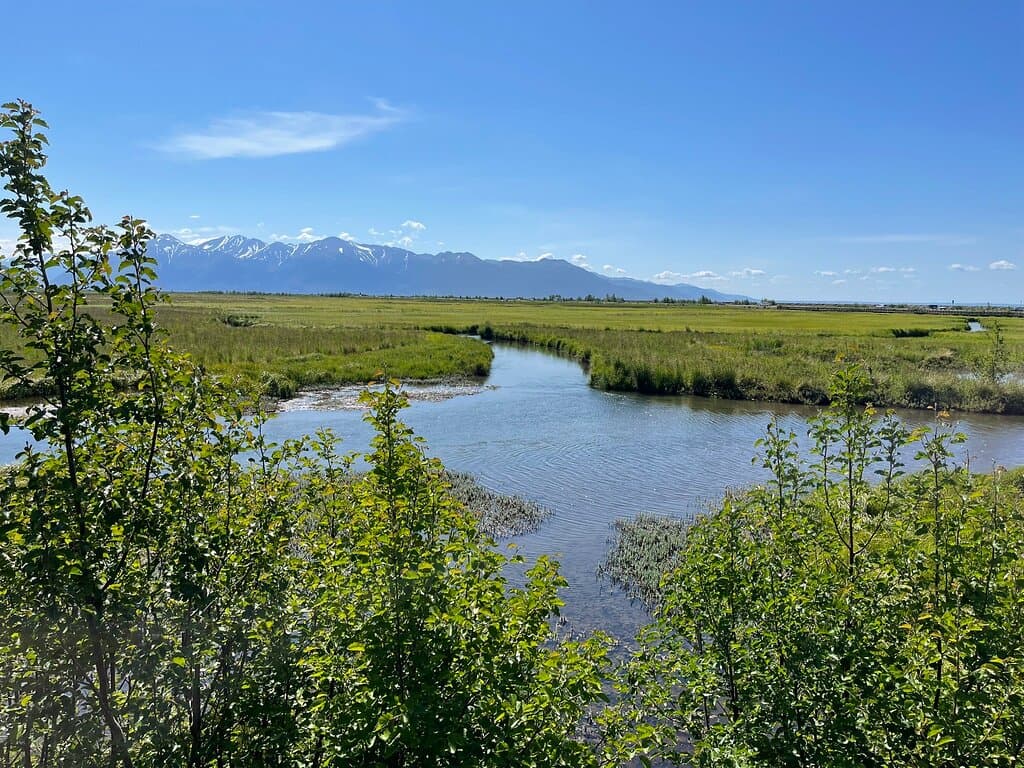 Potter Marsh Bird Sanctuary