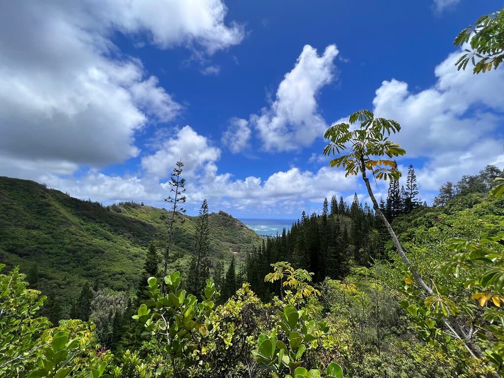 Hau'ula Loop Trail