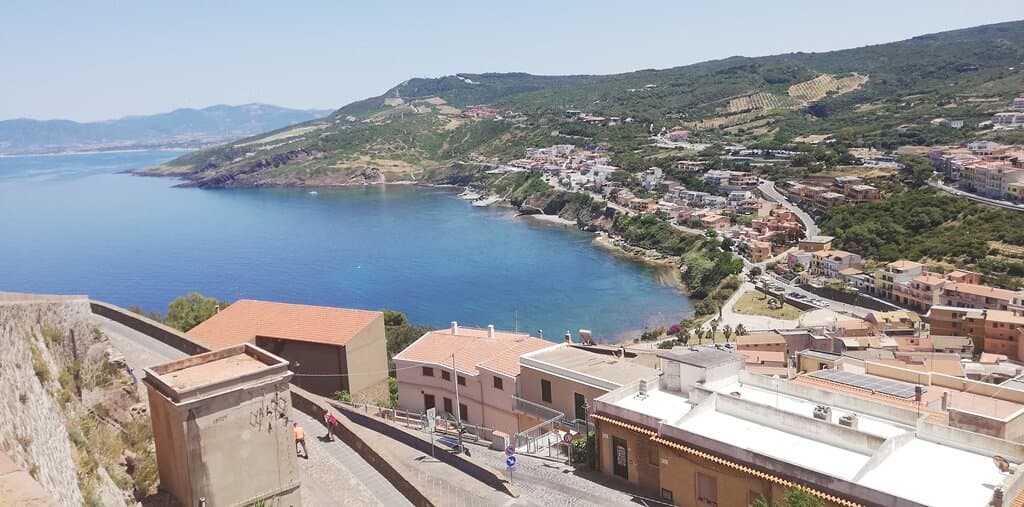 the view