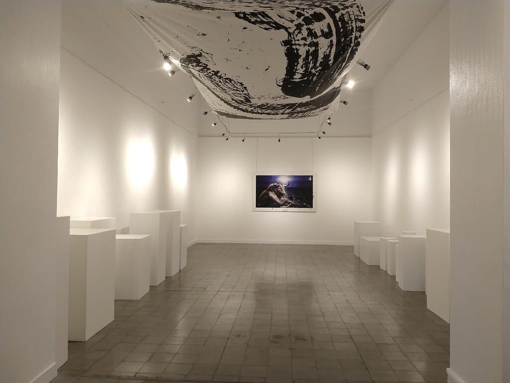 Musée Taurin (Bullfighting Museum)