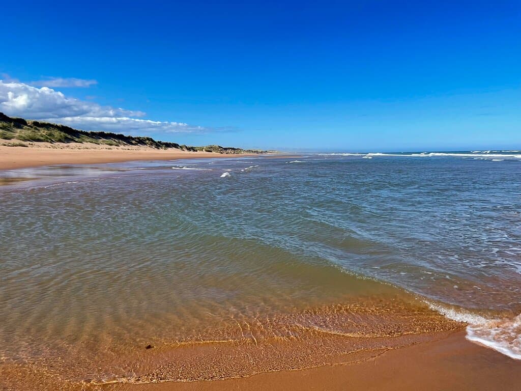 “There is no place like the beach …… where the land meets the sea and the sea meets the sky.” - Umair Siddiqui