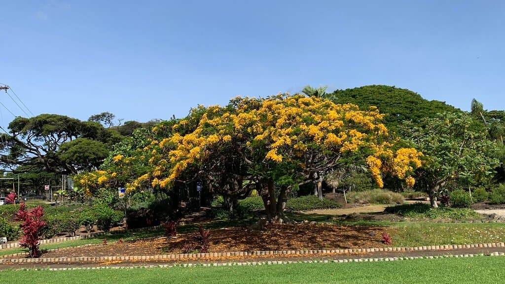 Queen Kapiolani Garden Honolulu