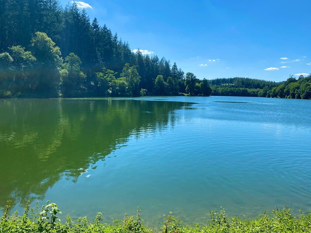 Shearwater Lake