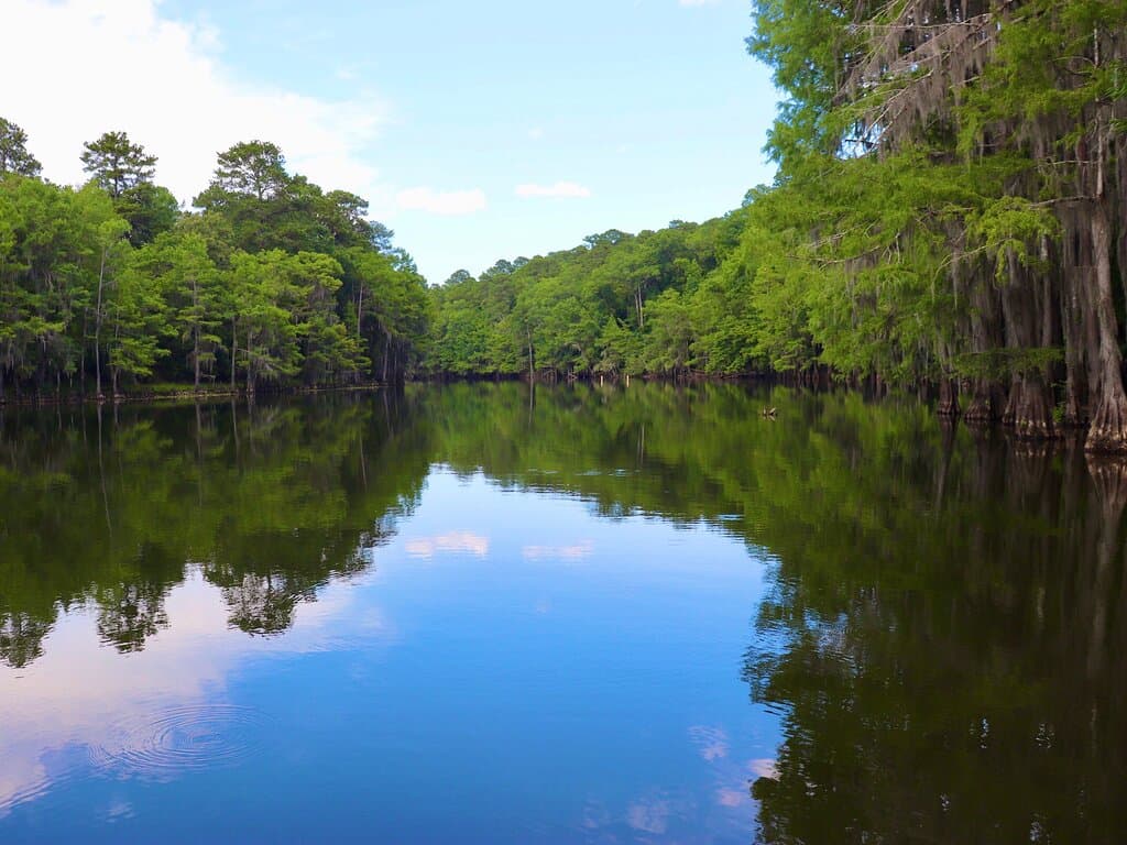 Caddo Lake State Park