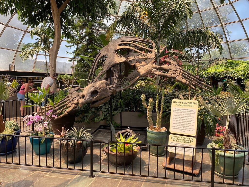 Reptile Gardens Rapid City South Dakota