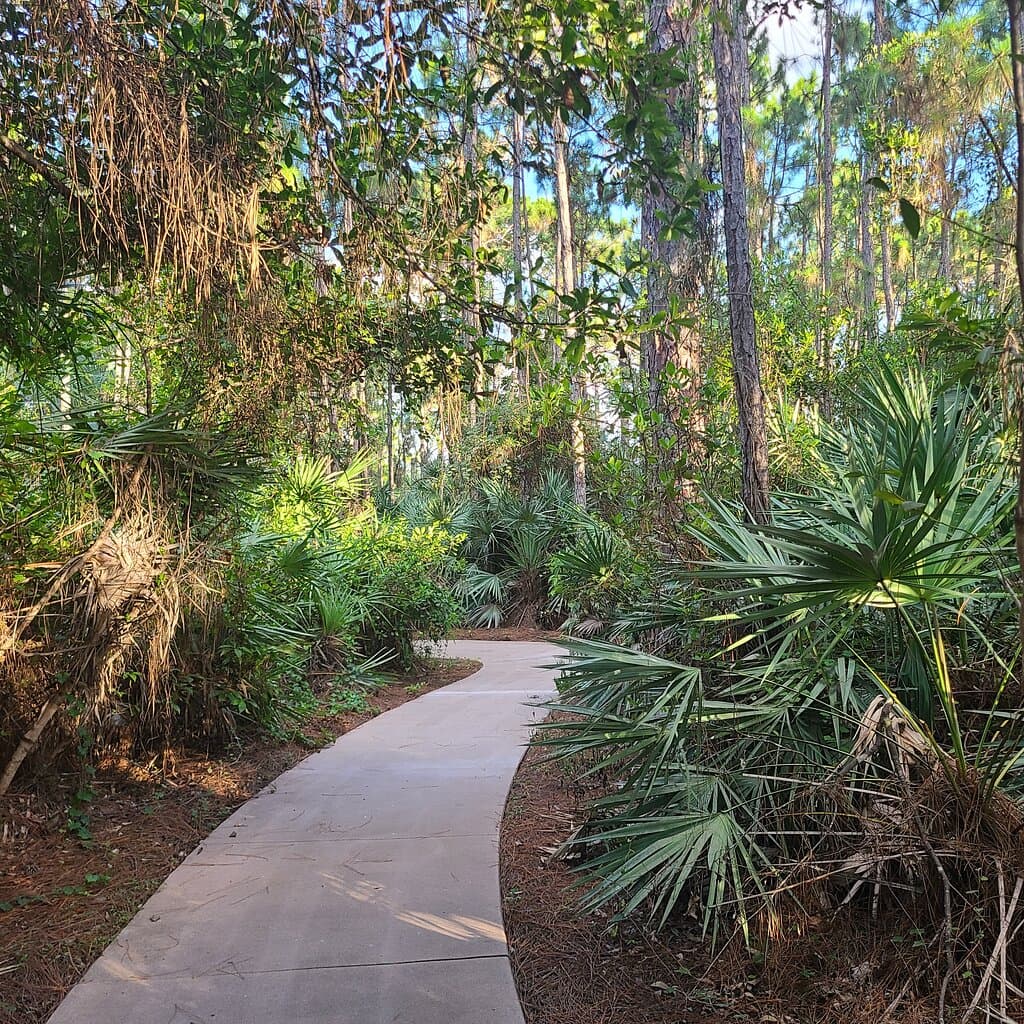 Helene Klein Pineland Preserve