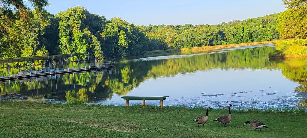 The lake at the nature center