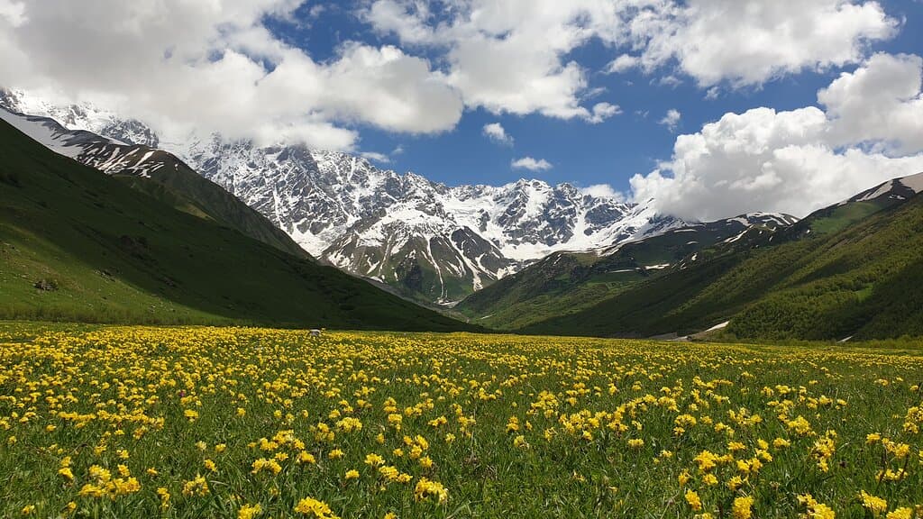 Mt. Skhara
