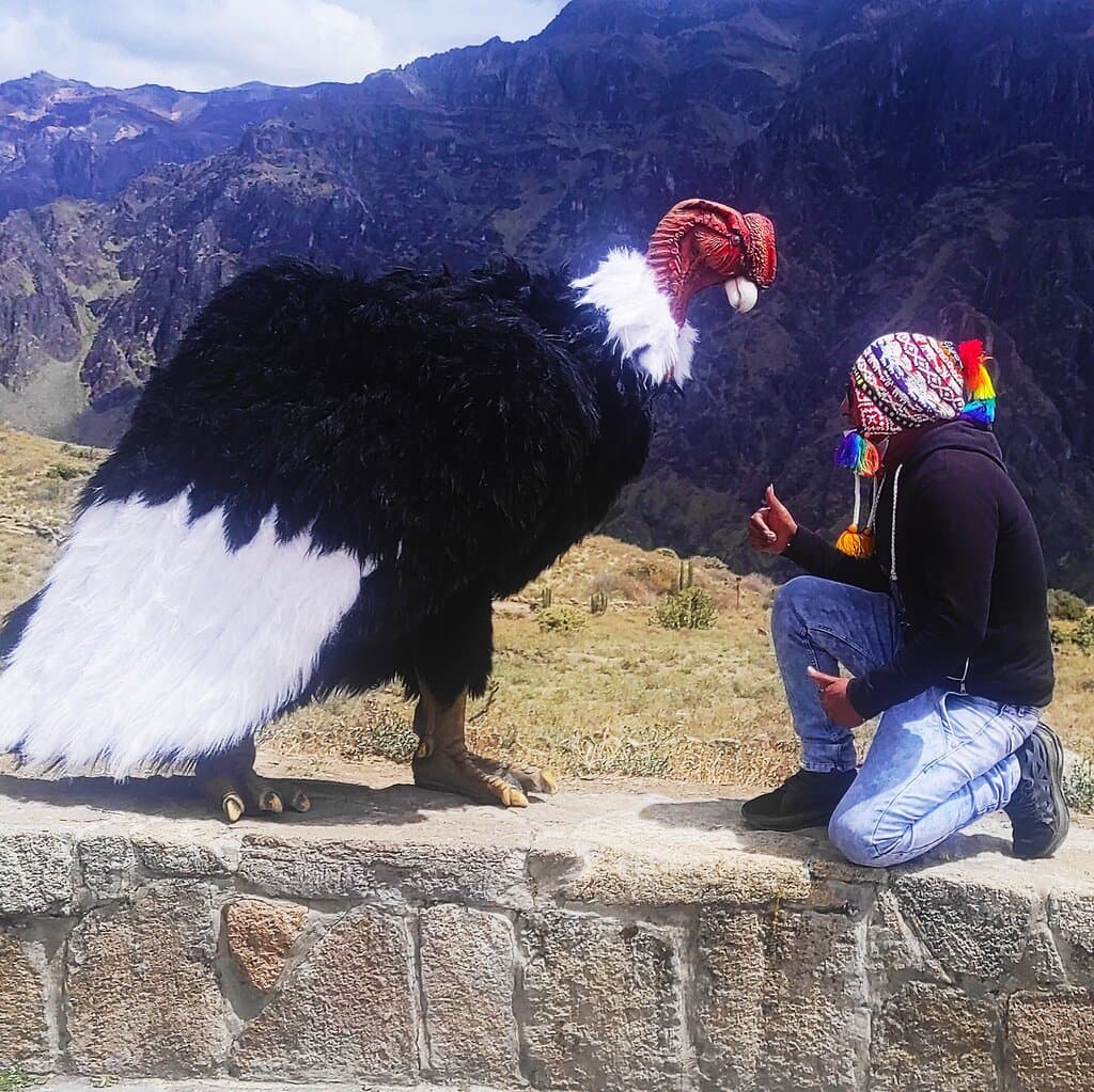Colca Canyon
