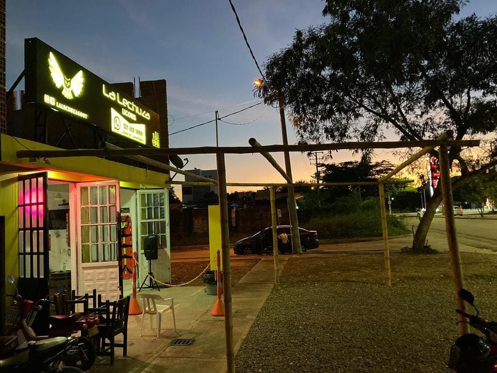 el pajarito todavía no tenia plumas