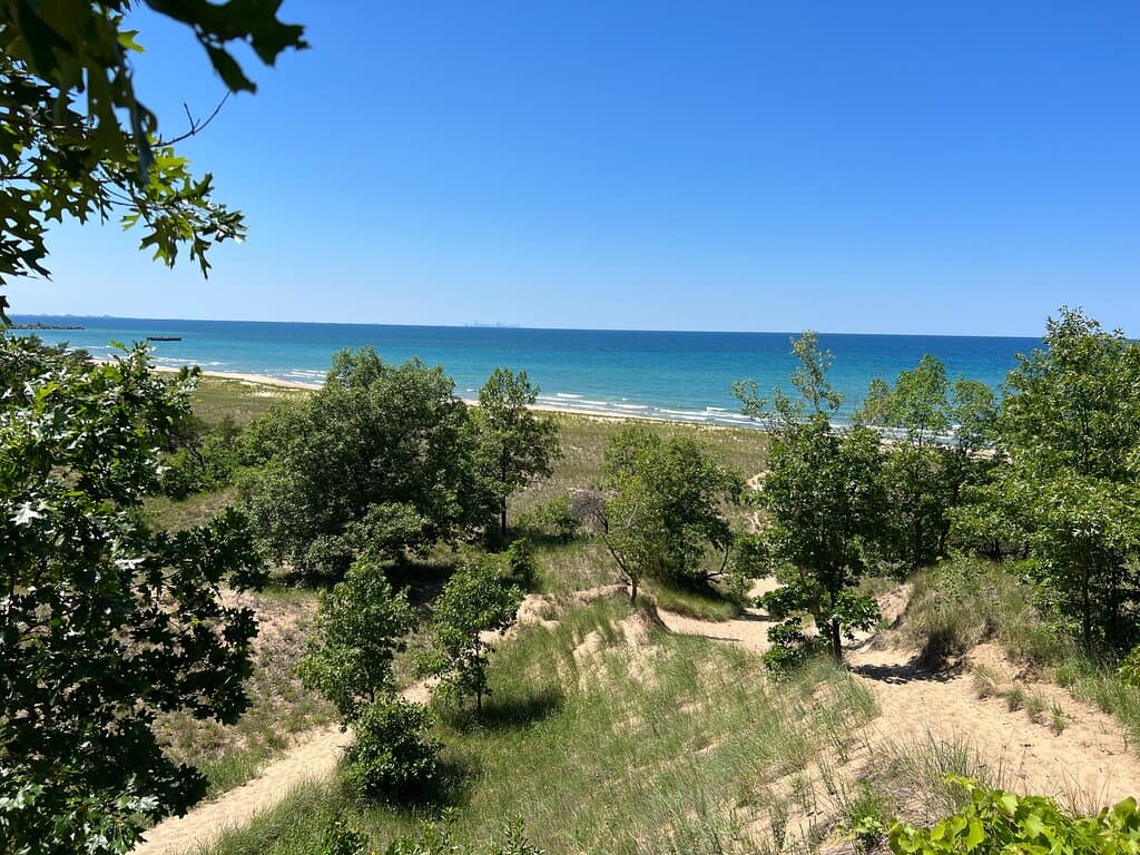 The view from the top of dune after making it