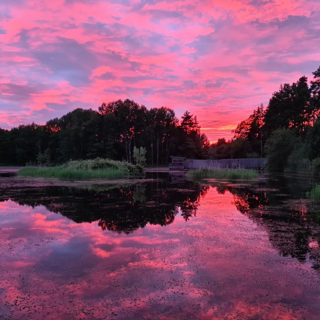 Tinnerö Eklandskap