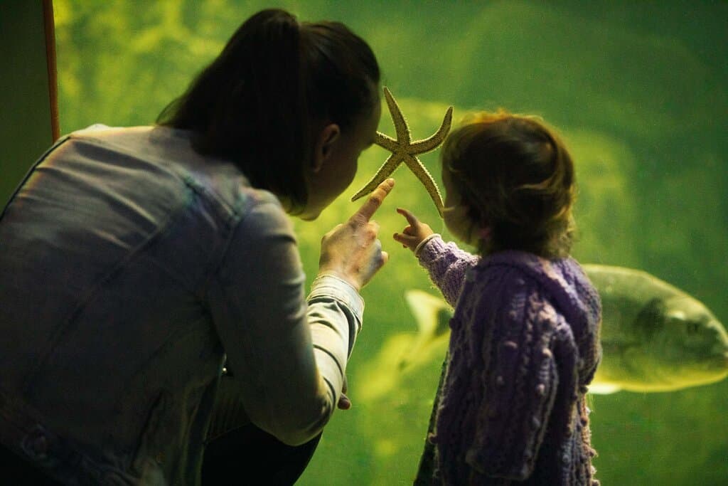 Its all about the sharing and creating memories that last long after you leave the Aquarium.
