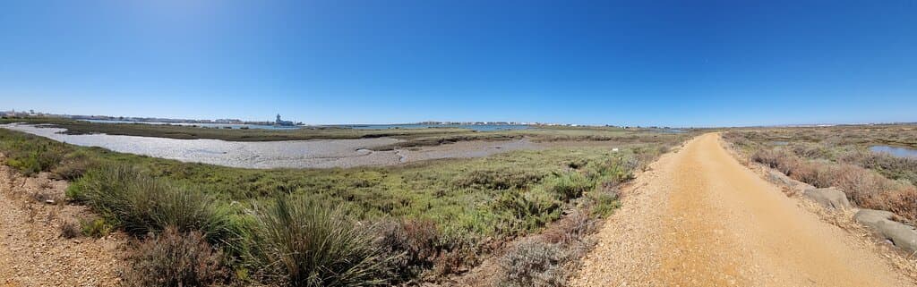 Marsh views and the path 