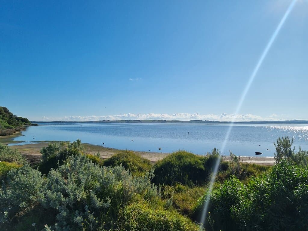 Swan Bay