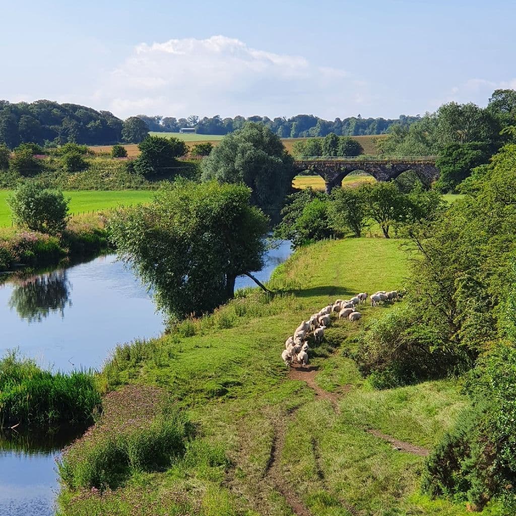 Laigh Milton Viaduct