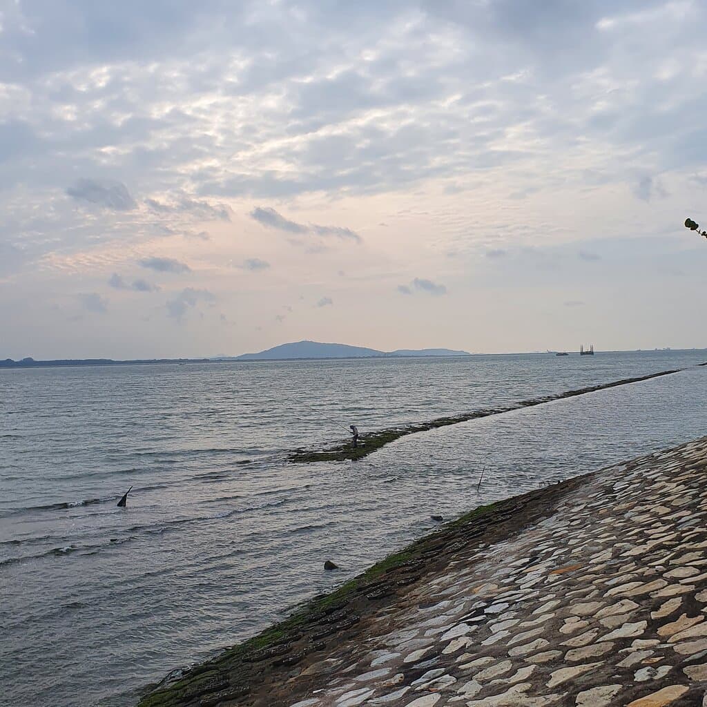 View from Changi Bay Point