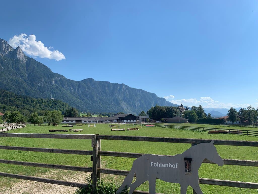 Fohlenhof Ebbs Haflinger Stud Farm