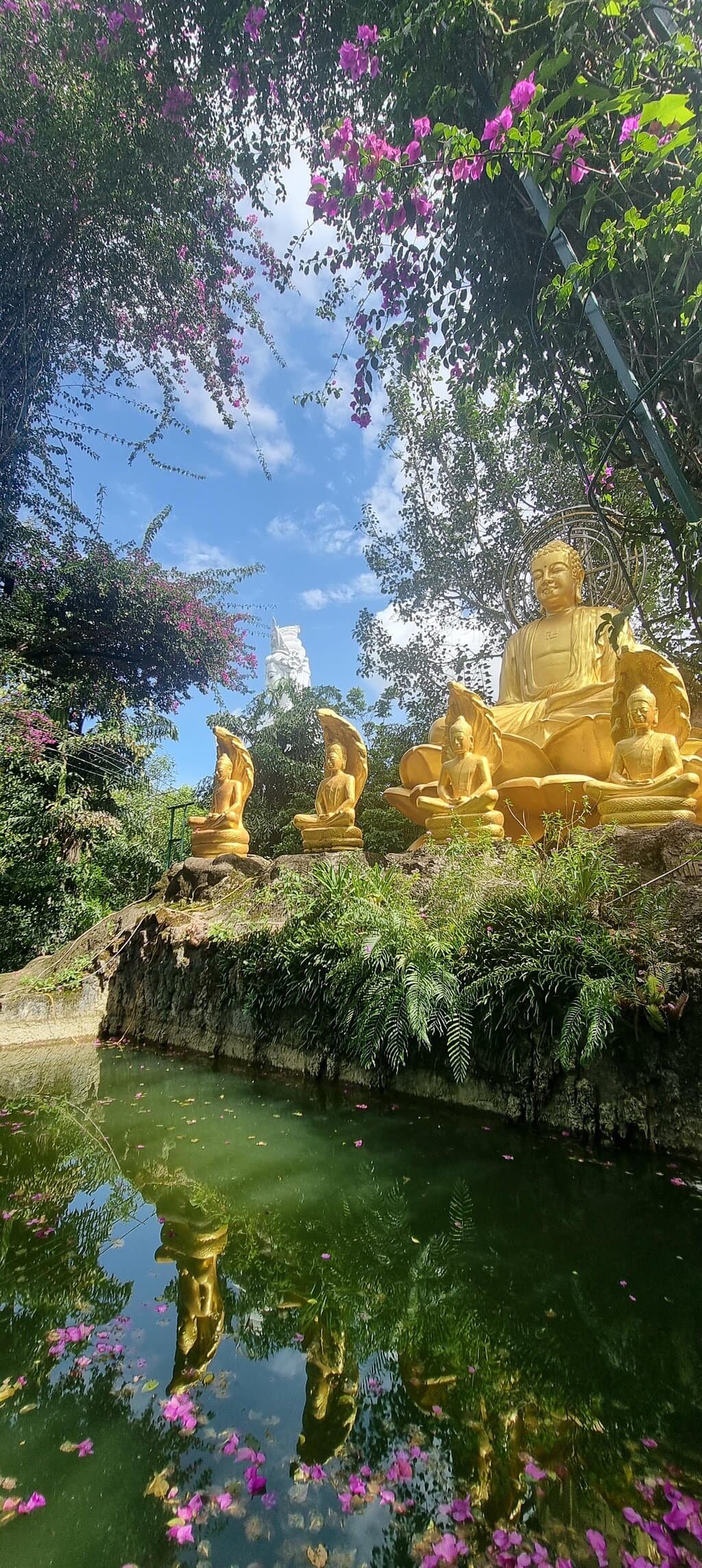 Buddah