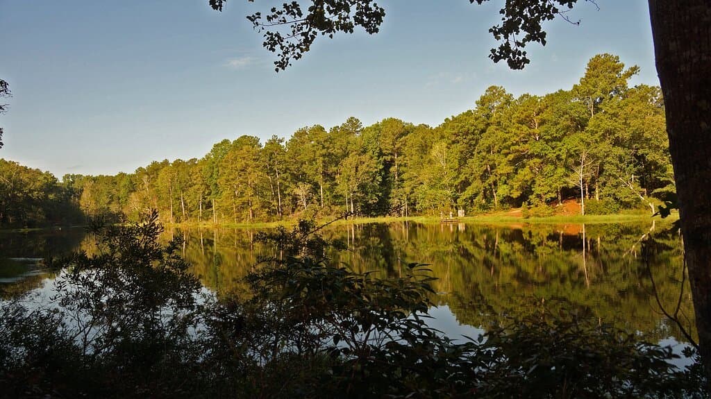View from the East Lake Spur.