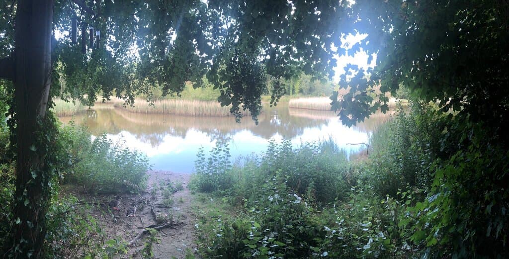 Spinnies Aberogwen Nature Reserve