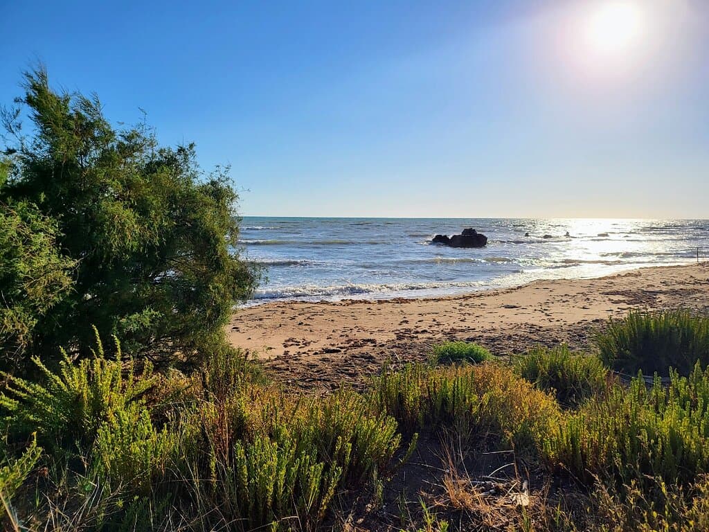 Macchiatonda Nature Reserve