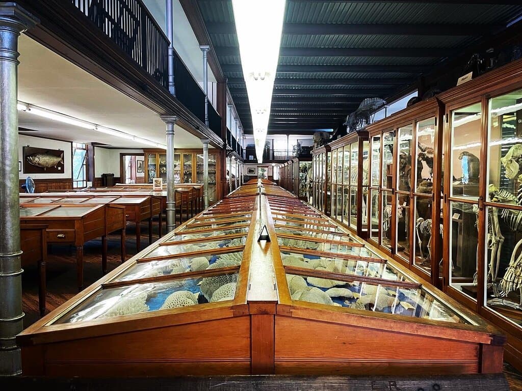 Wagner Free Institute of Science