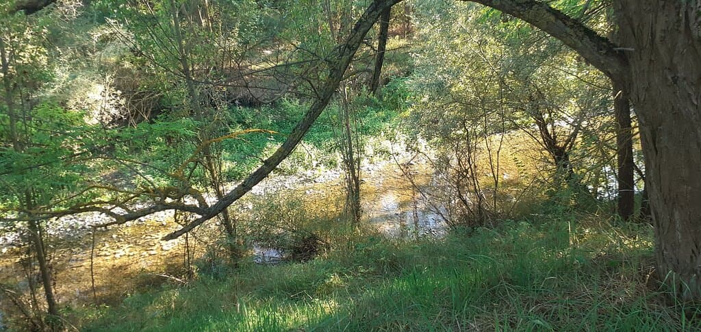 Crostolo Greenway