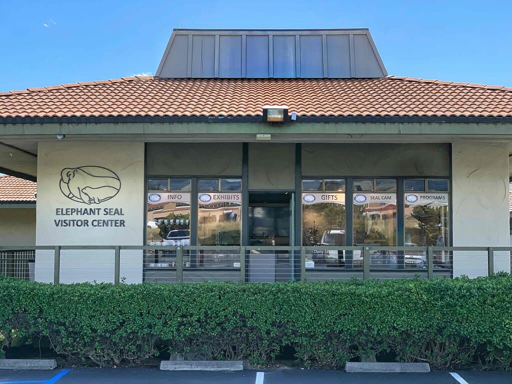 Our expanded Elephant Seal Visitor Center offers informative exhibits, viewing tips, unique elephant seal gifts and more!  Open daily 10 AM-4 PM at 250 San Simeon Ave, San Simeon, CA.  This is about 8 miles SOUTH of the Elephant Seal Viewing area. 