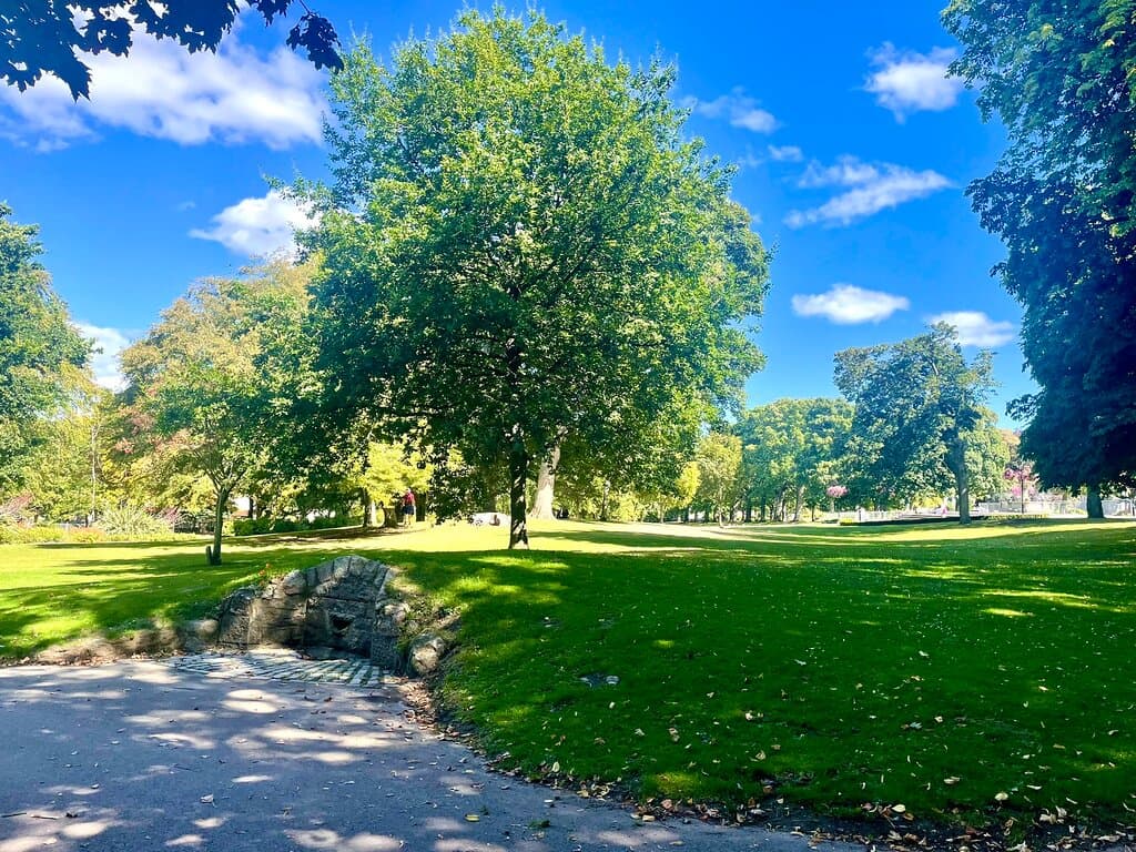 Victoria Park Dundee