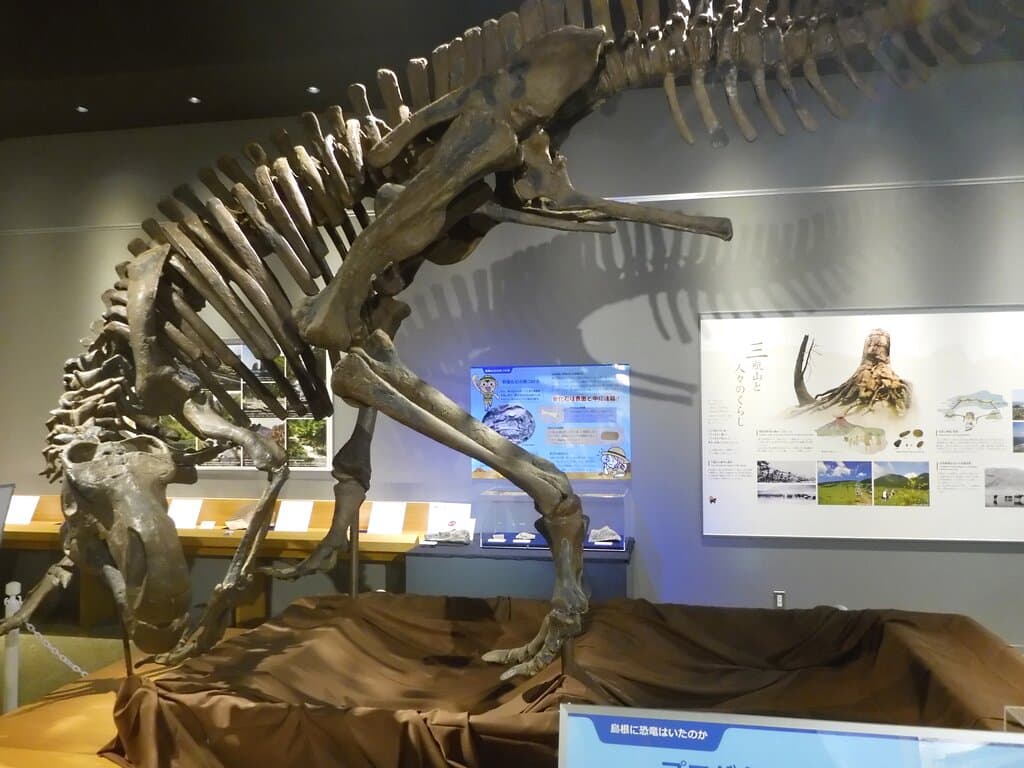 Shimane_Nature_MUseum_of_Mt_Sambe_Sahimel-Oda_Shimane０１