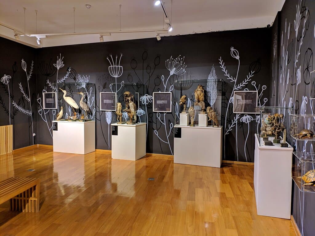 Natural history museum