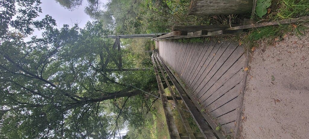 Ellwood H. May Environmental Park Maywood