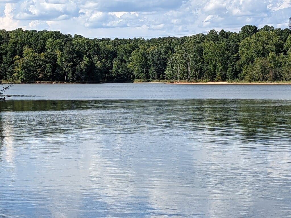 Falls Lake Views