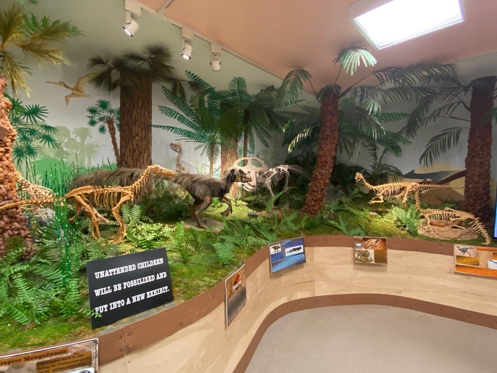 Hutchings Museum