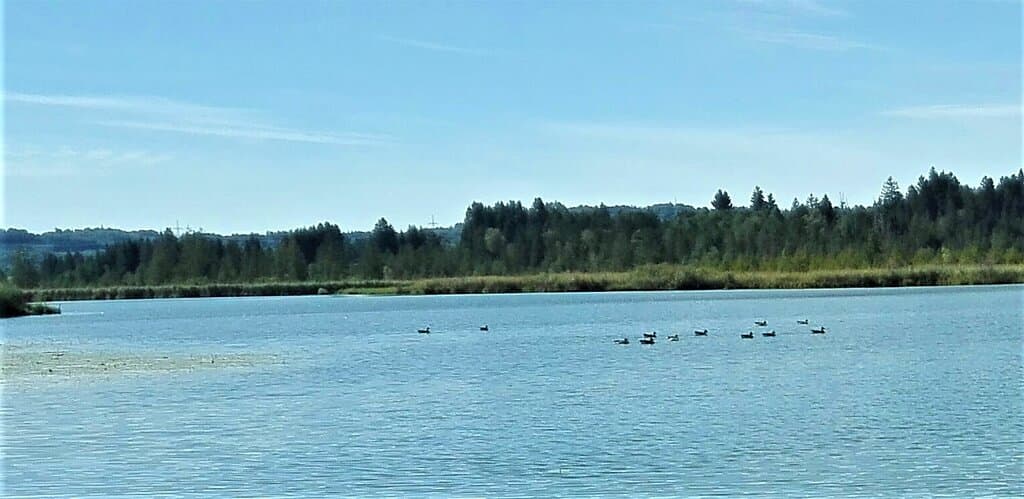 am Maisinger See nach der Wanderung durch die Schlucht