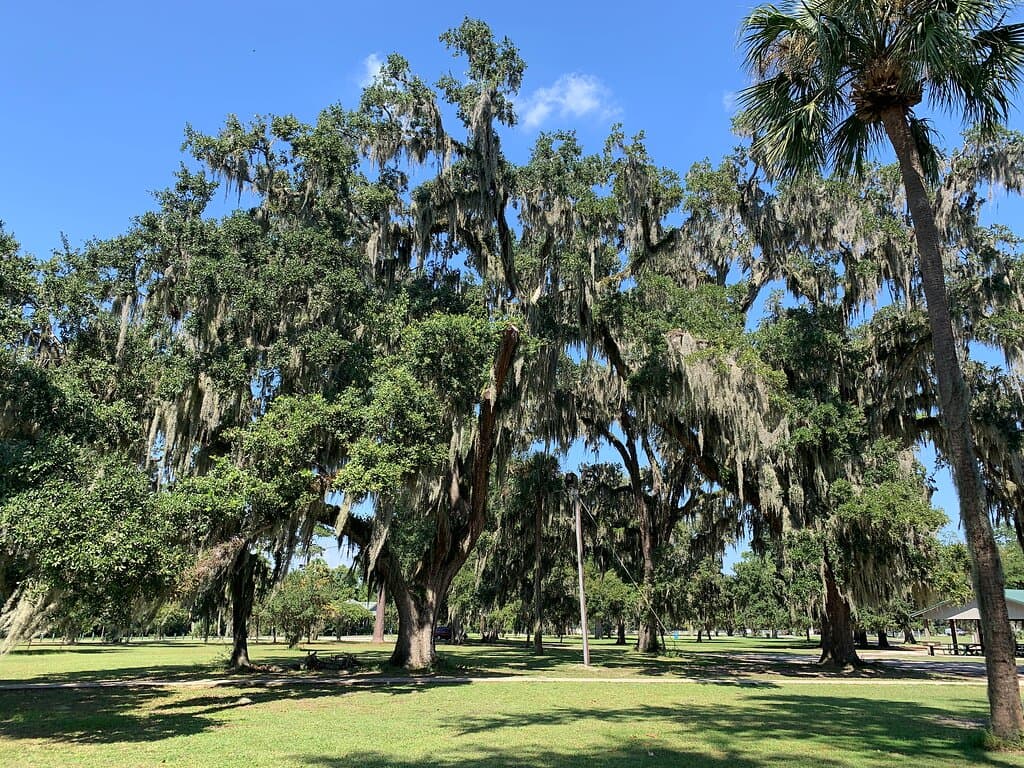 Beautiful scenery throughout the park!