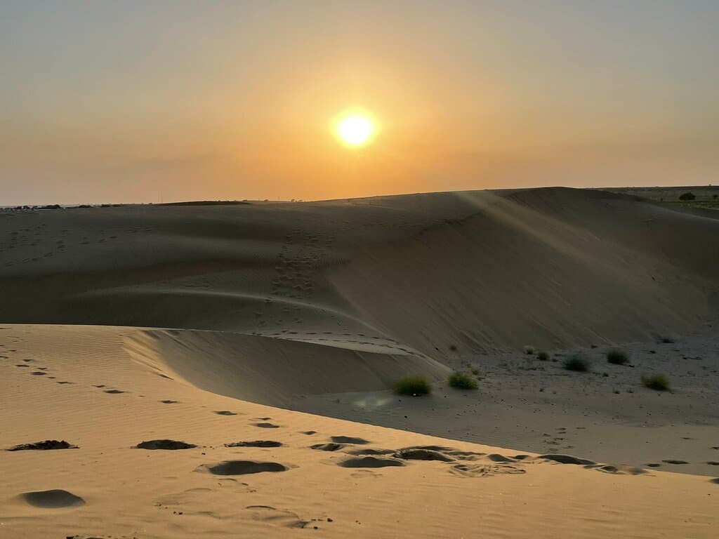 Desert National Park Rajasthan India