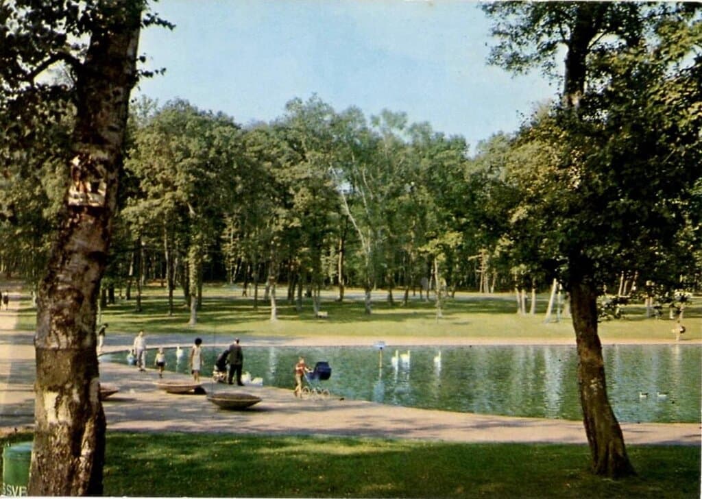 Souvenir de la forêt de Montgeon dans les années 70