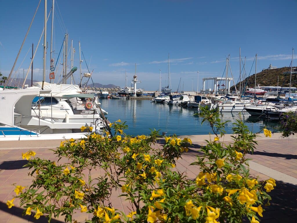 Marina views from the Plaza