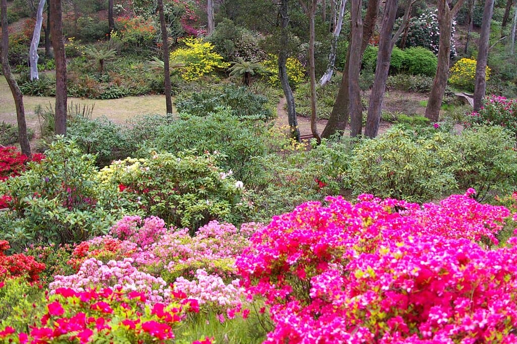 Walking paths through spring colour